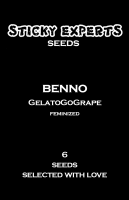 Benno - GelatoGoGrape - Feminized - 6 Seeds
