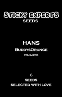 Hans - BuddysOrange - Feminized - 6 Seeds