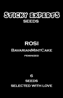 Rosi - BavarianMintCake - Feminized - 6 Seeds