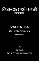 Valerica - GlueDaGorilla - Feminized - 6 Seeds