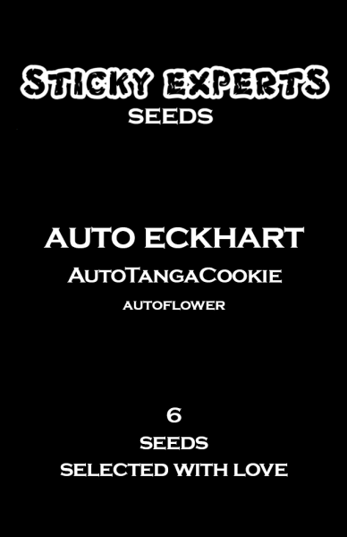 Auto Eckhart - TangaGoCookie - Auto- 6 Seeds