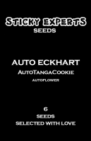 Auto Eckhart - TangaGoCookie - Auto- 6 Seeds