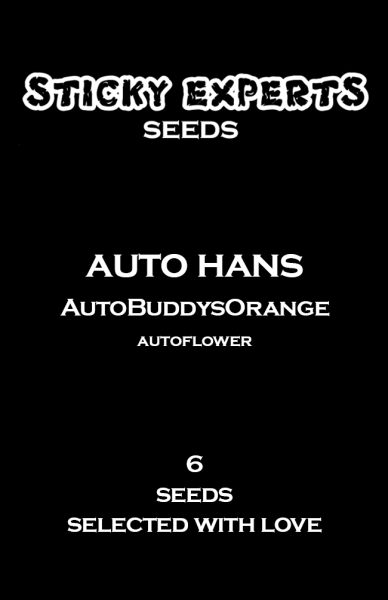 Auto Hans - BuddysOrange - Auto- 6 Seeds