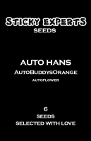 Auto Hans - BuddysOrange - Auto- 6 Seeds