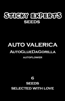 Auto Valerica - GlueDaGorilla - Auto - 6 Seeds