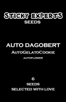 Auto Dagobert - GelatoGoCookie - Auto - 6 Seeds