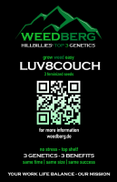 LUV8COUCH - feminized - 3 seeds