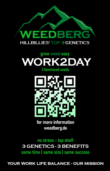 WORK2DAY - feminized - 3 seeds